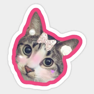 Kawaii Neko Sticker